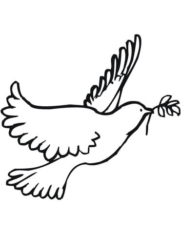 Peace Dove Coloring Page